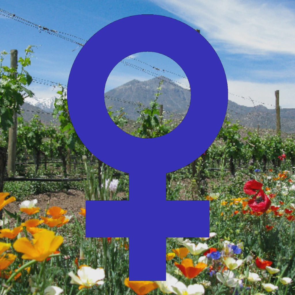 Tasting - Women Winemakers 12th September 2025