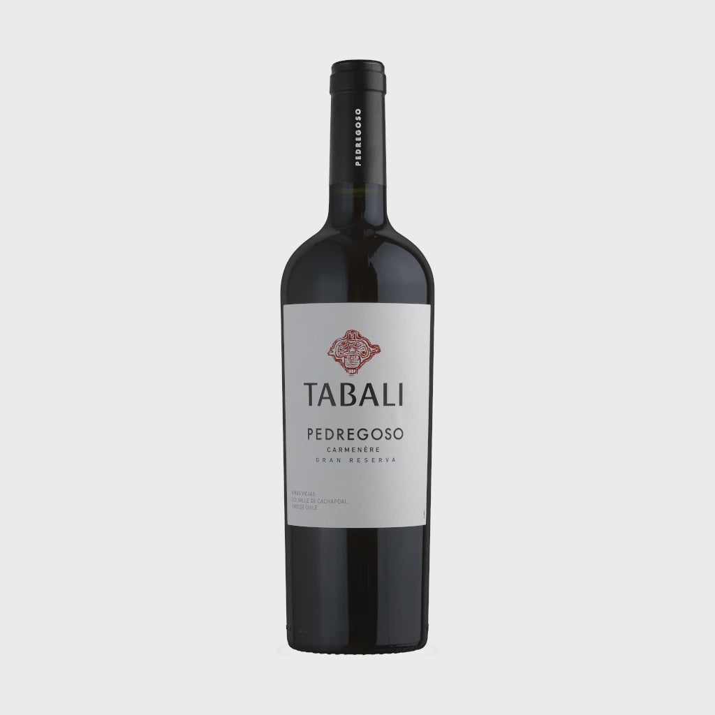 Tabalí Pedregoso Gran Reserva Carmenere / 2023 / 75cl