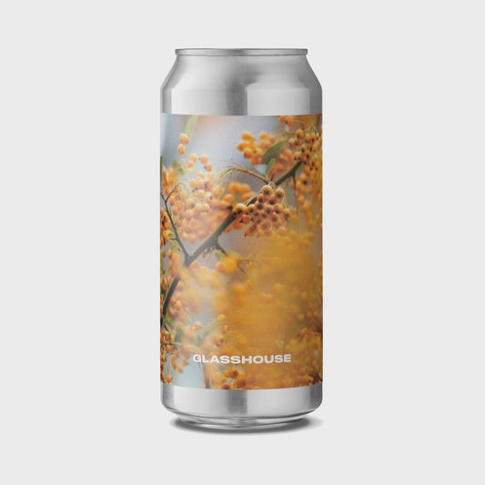 GlassHouse Brew Co. In Ochre IPA   6.3% / 44cl