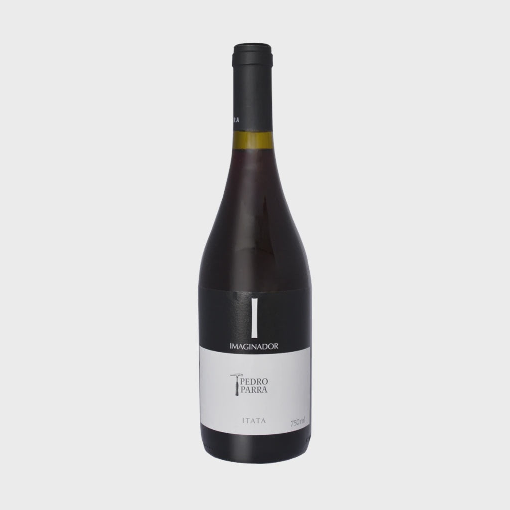 Pedro Parra 'Imaginador' Itata Valley Cinsault / 2023 / 75cl