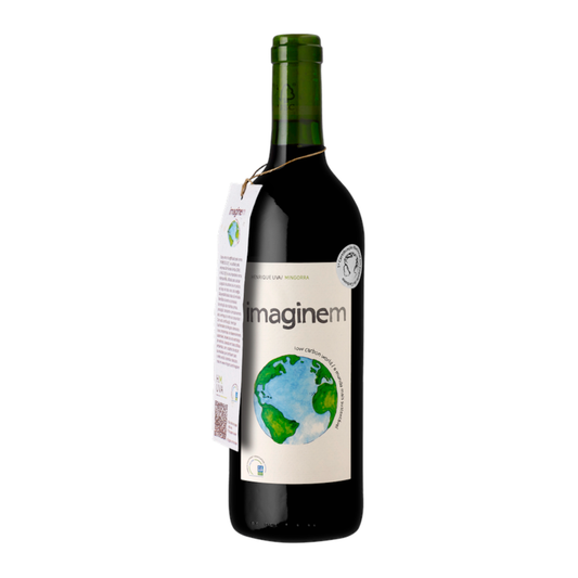 Imaginem Red (low intervention), Mingorra / 2011 / 75cl