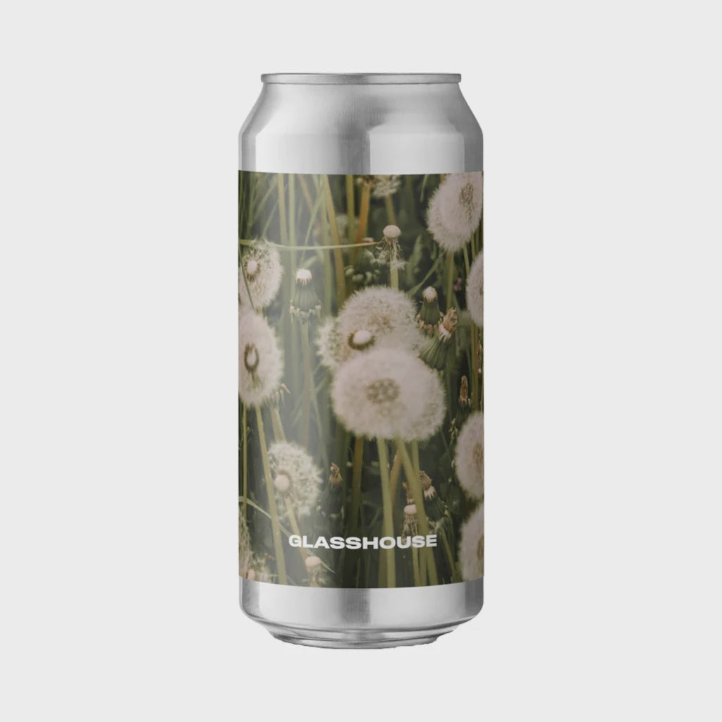 GlassHouse Beer Co. Dandelion   4.0% / 44cl