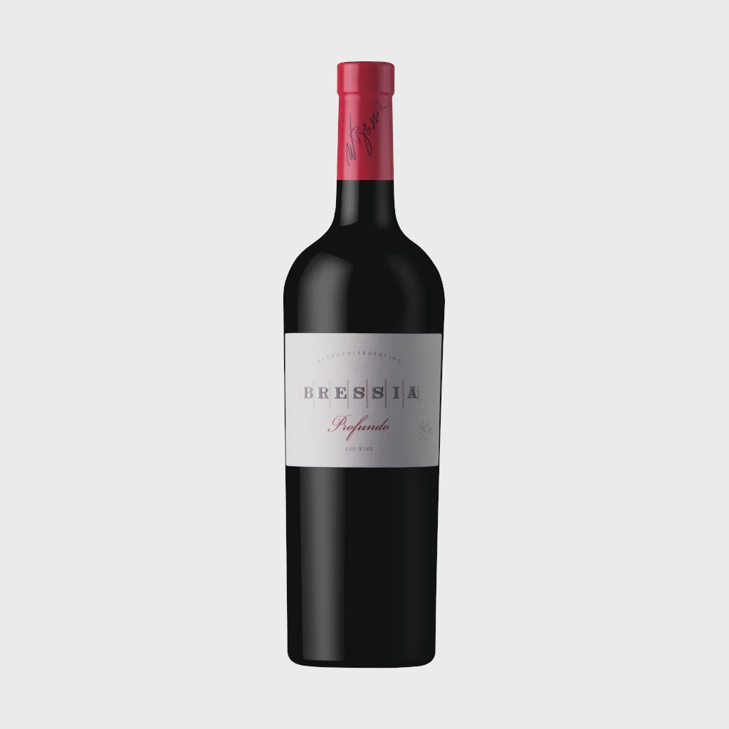 Bressia Profundo Malbec / 2020 / 75cl