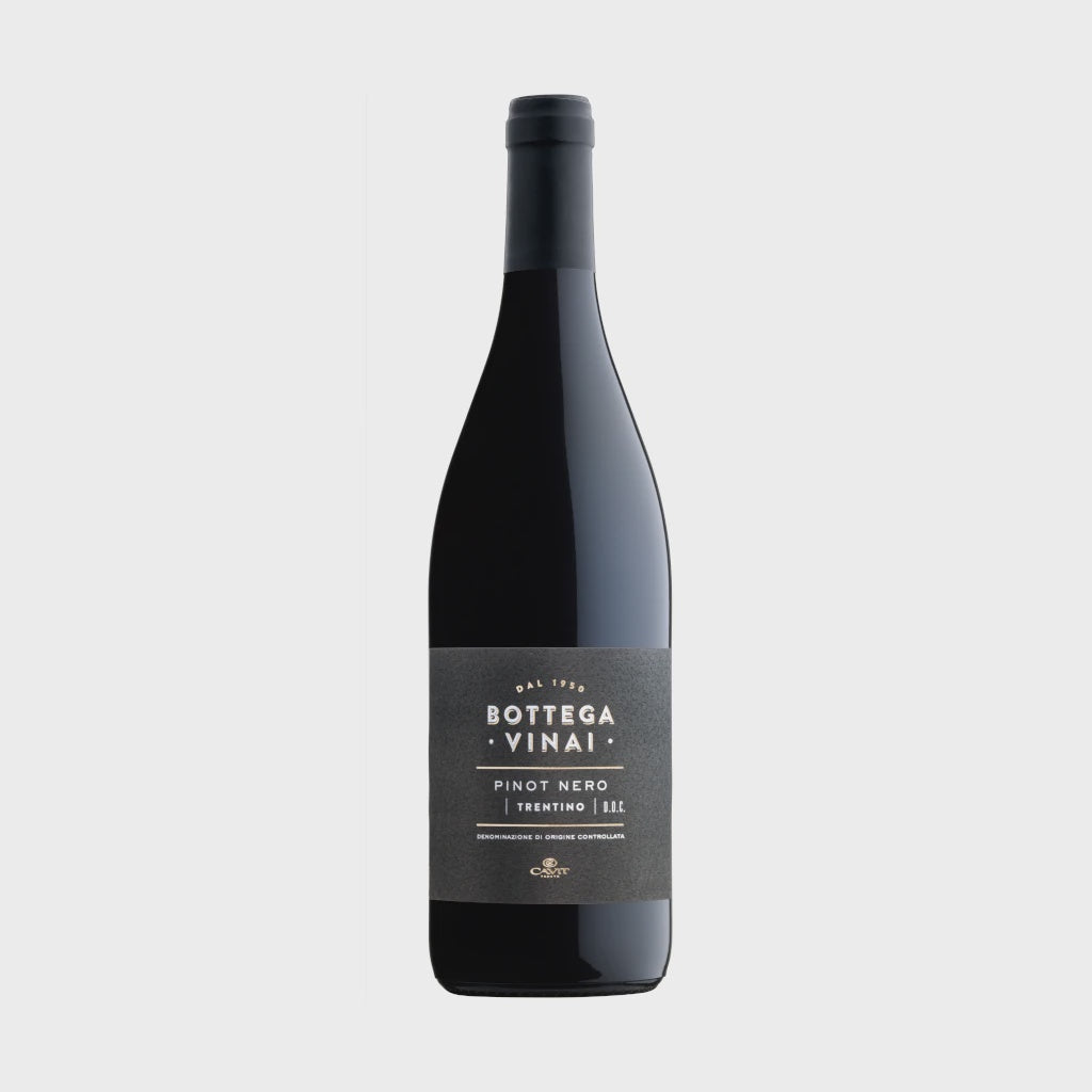Bottega Vinai Pinot Nero / 2021 / 75cl