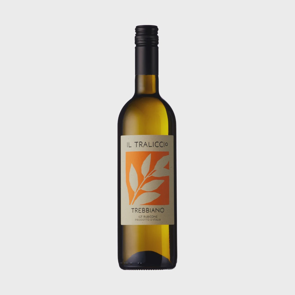 Il Traliccio Trebbiano / 2022 / 75cl